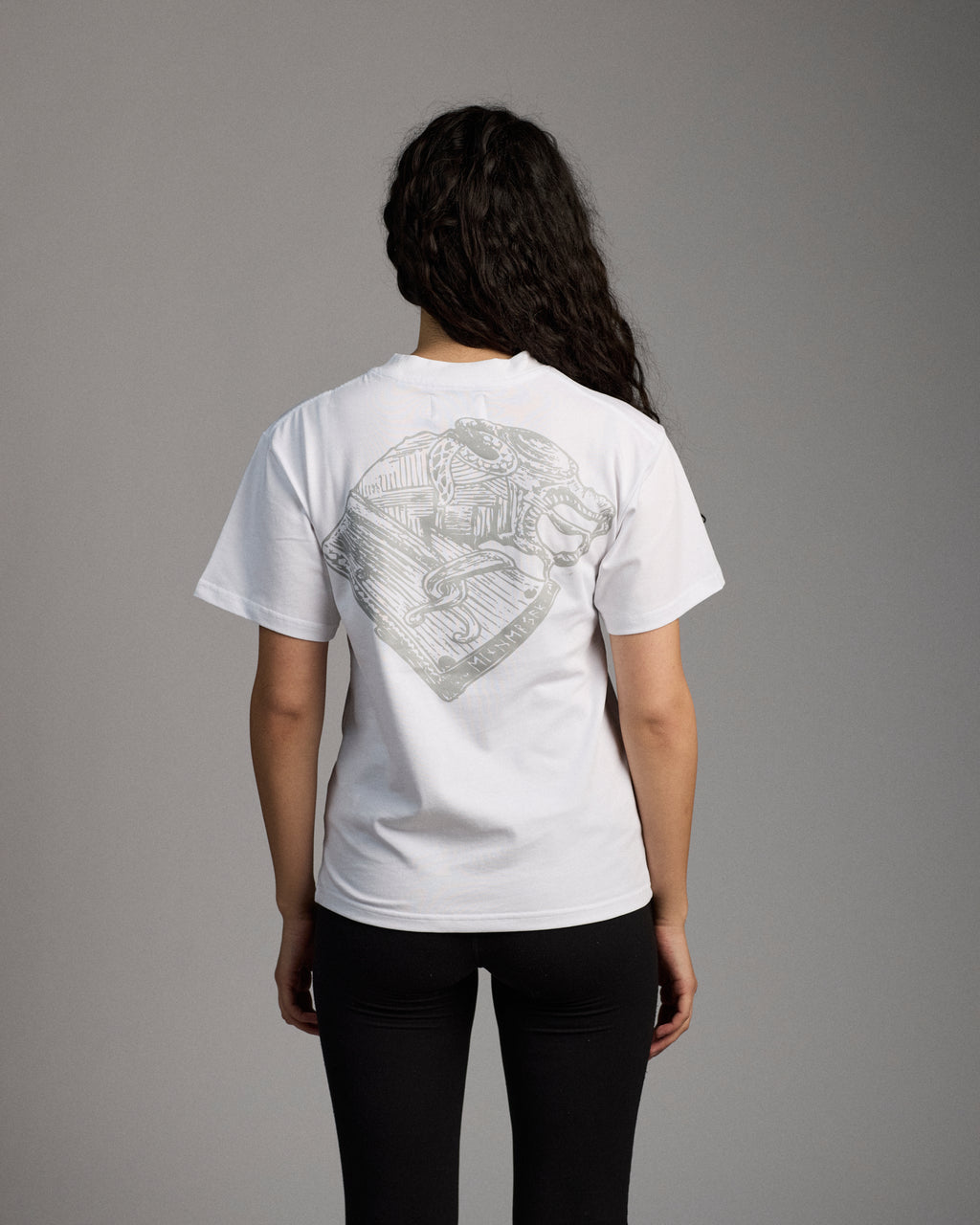 Alsvidr T-Shirt